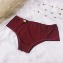 KIT 10 CALCINHAS FEMININAS PALA ALTA CONFORTO FORRO ALGODÃO